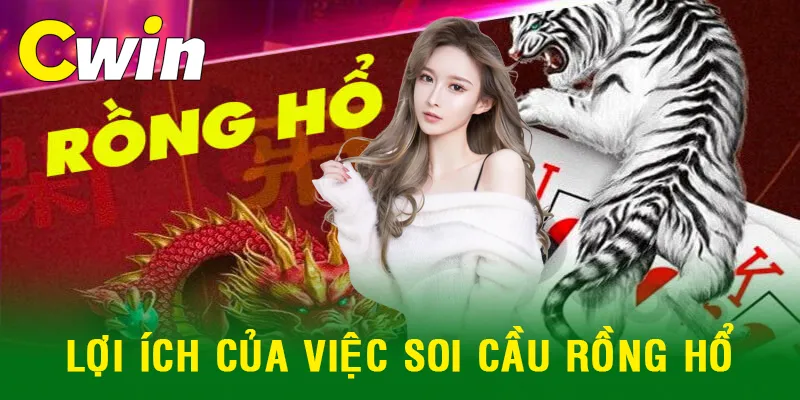 Cách soi cầu rồng hổ hiệu quả dành cho cược thủ